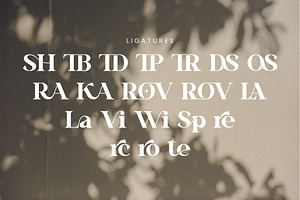 Vinaly Serif Font