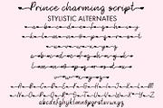Prince Charming Retro Font Duo, a Handwritten Font by Freeling Design House (Thumbnail 3 of 8)