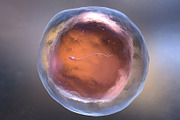 Artificial insemination, a Healthcare Illustration by iLexx (Thumbnail 2 of 2)