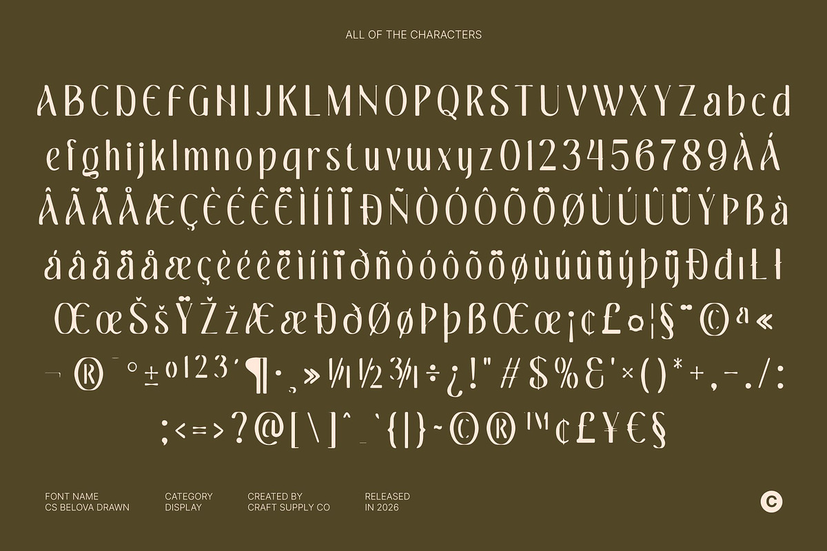 CS Belova Drawn, a Serif Font by Craft Supply Co. (Photo 8 of 8)