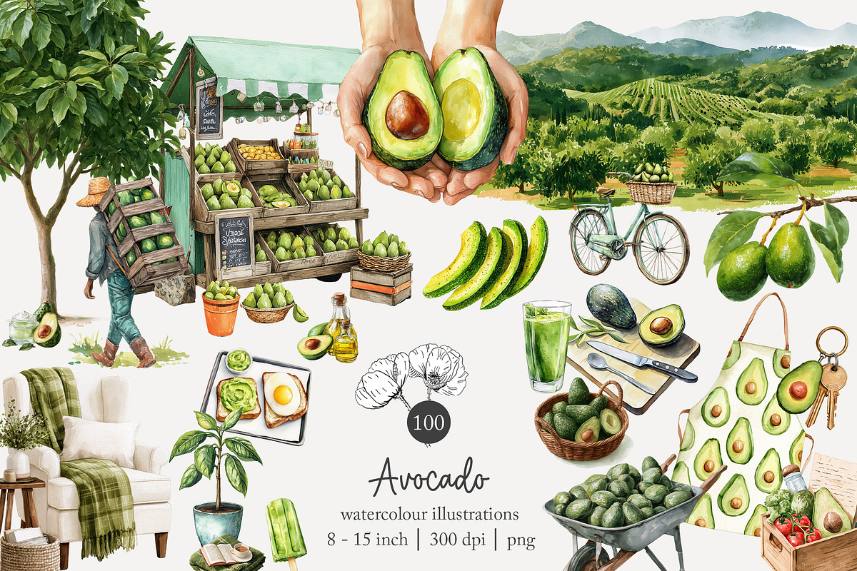 100 avocado clip art, a Food Illustration by Poppy Lane Studio (Photo 1 of 12)
