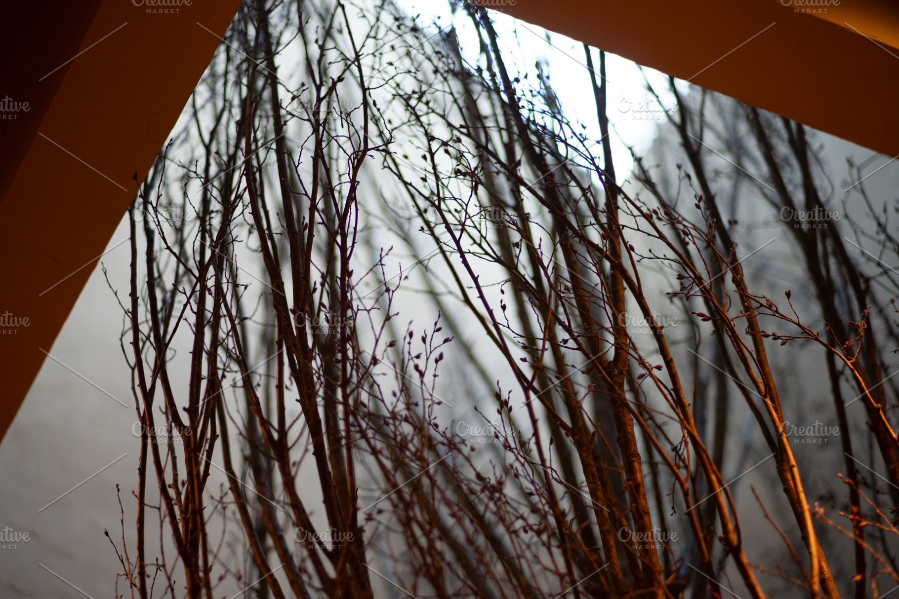 Tree Installation Inside Lightwell, an Architecture Photo by SkyNext