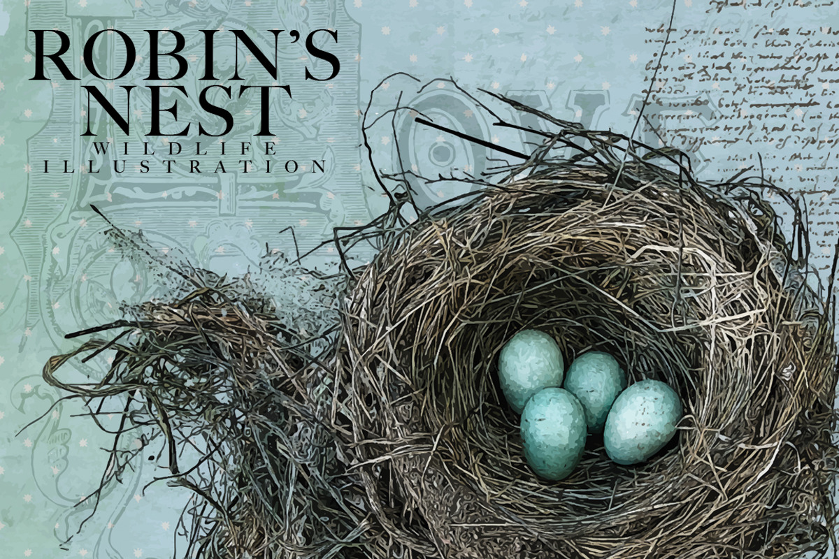 Robin's Nest Vector Illustration, a Decorative Illustration by Digital Art Downloads (Photo 1 of 3)
