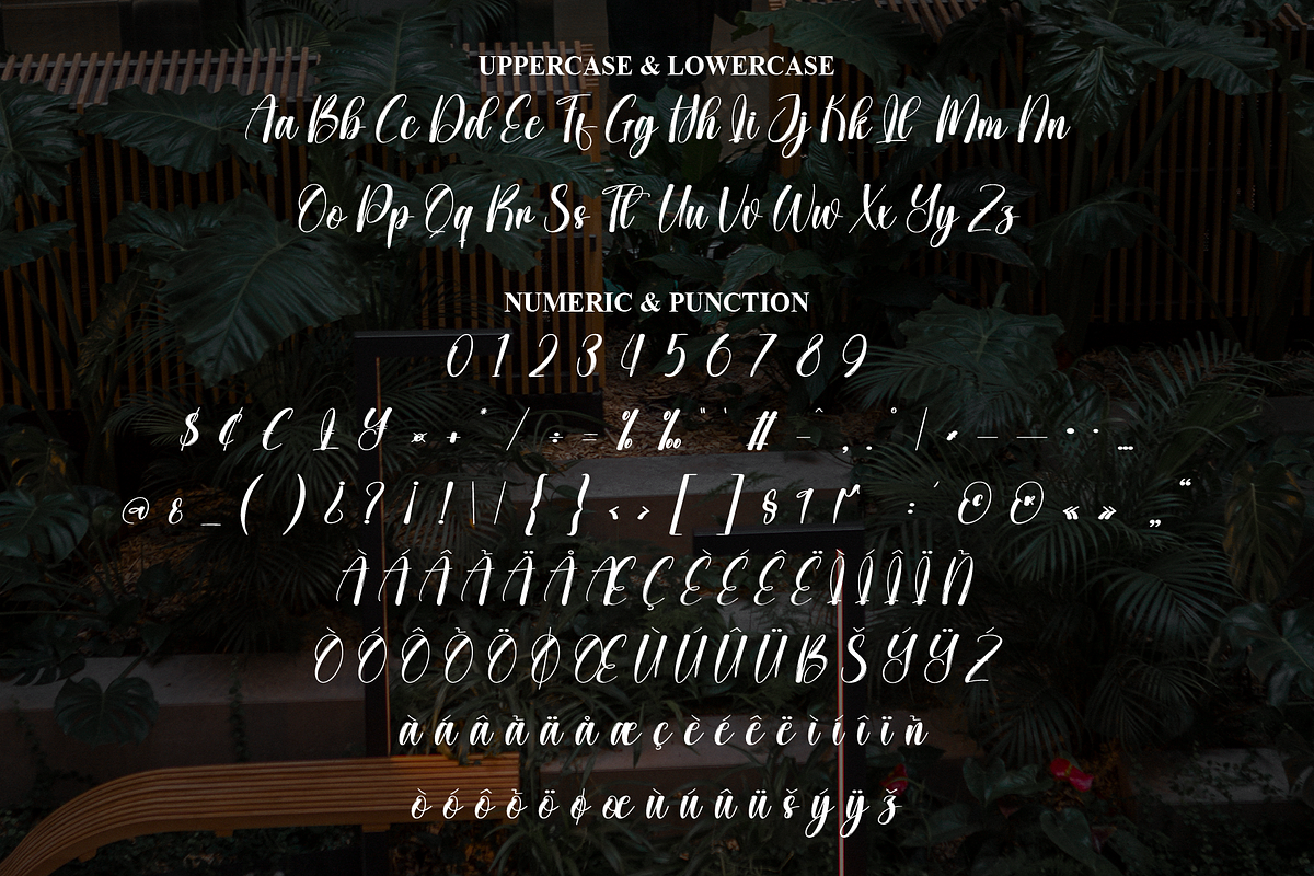 Rooftop Garden | Script Font, a Handwritten Font by Scratchones (Photo 7 of 9)