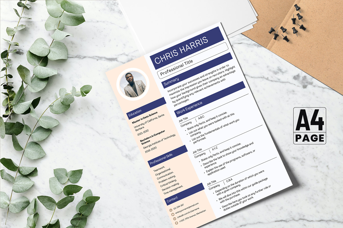 Professional Application CV Template, a Print Template by Snapybiz (Photo 3 of 10)
