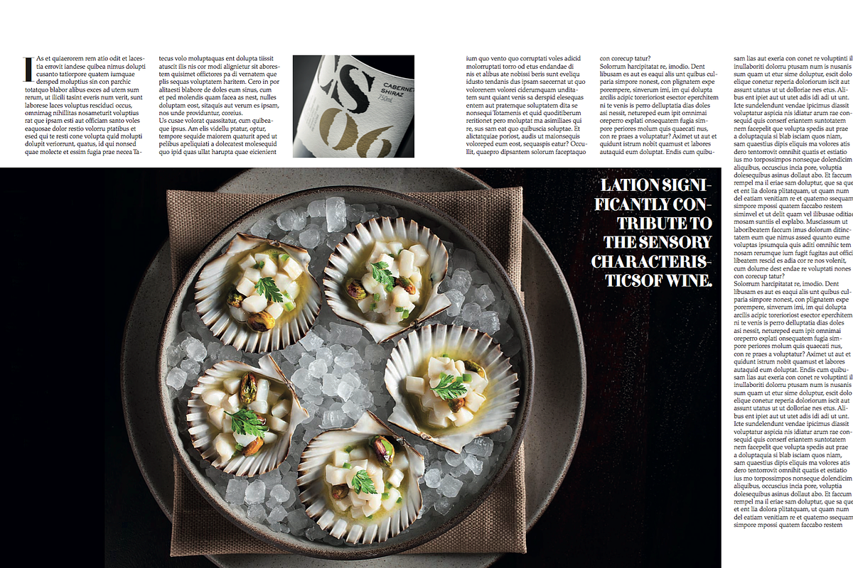 Magazine Template, a Magazine Template by Cristian Villegas Studio (Photo 6 of 14)