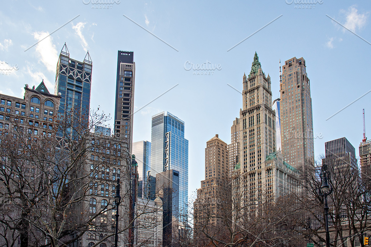 New York City Winter Photos, a Holiday Photo by Full Circle Design Studio (Photo 1 of 14)