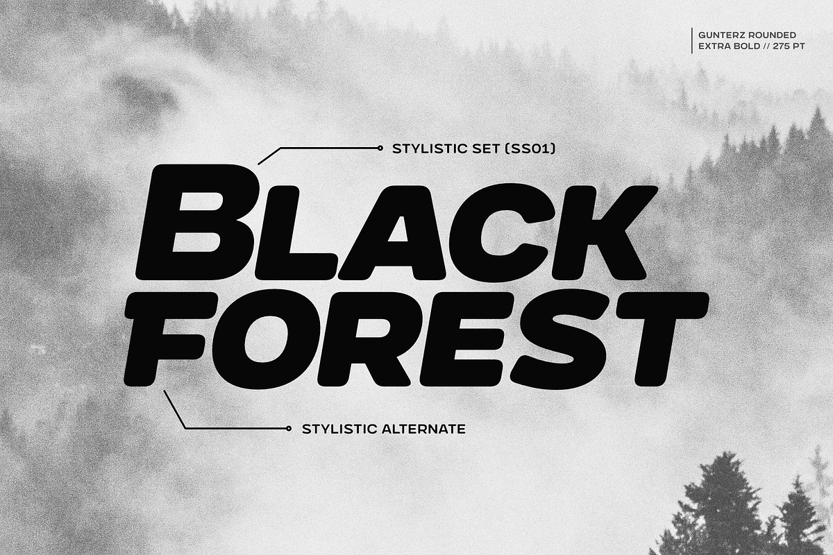Gunterz Rounded, a Sans Serif Font by Locomotype (Photo 7 of 13)
