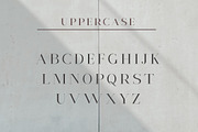 Nectaries, a Serif Font by Funtype (Thumbnail 12 of 16)