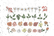 Floral vintage collection, a Texture Illustration by Mandarinkas art (Thumbnail 2 of 9)