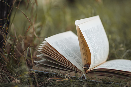 The old book lies on the grass in th stock photo containing book and old, a School & Education Photo by PavelKant