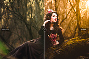 Wonderland Lightroom Presets Pack, an Action Add-On by Creativetacos (Thumbnail 4 of 6)