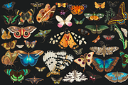 SALE! Collage Art Creator Pack 1400+, an Animal Illustration by Lilithcollageart (Thumbnail 3 of 19)