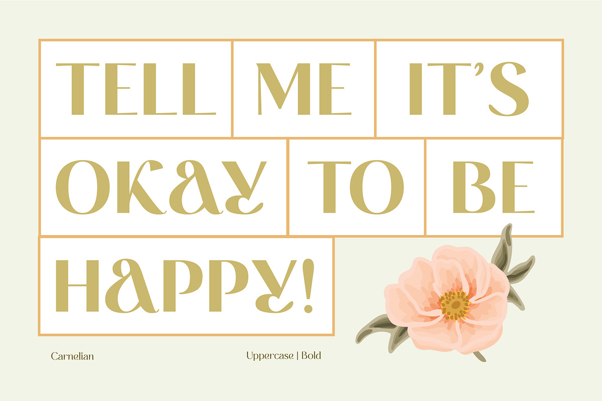 CARNELIAN - Display Variable Type, a Sans Serif Font by Artflorara (Photo 10 of 15)