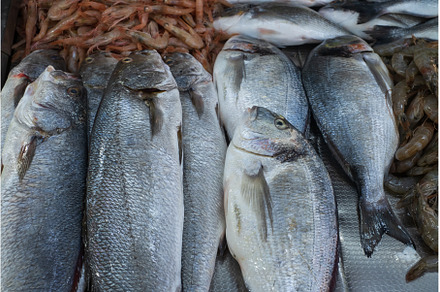 Seafood selling at the fish market, a Food & Drink Photo by Koldunov