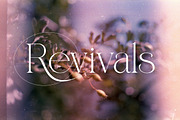 Qareky a Modern & Elegant Serif, a Serif Font by Lettertype Studio (Thumbnail 20 of 20)