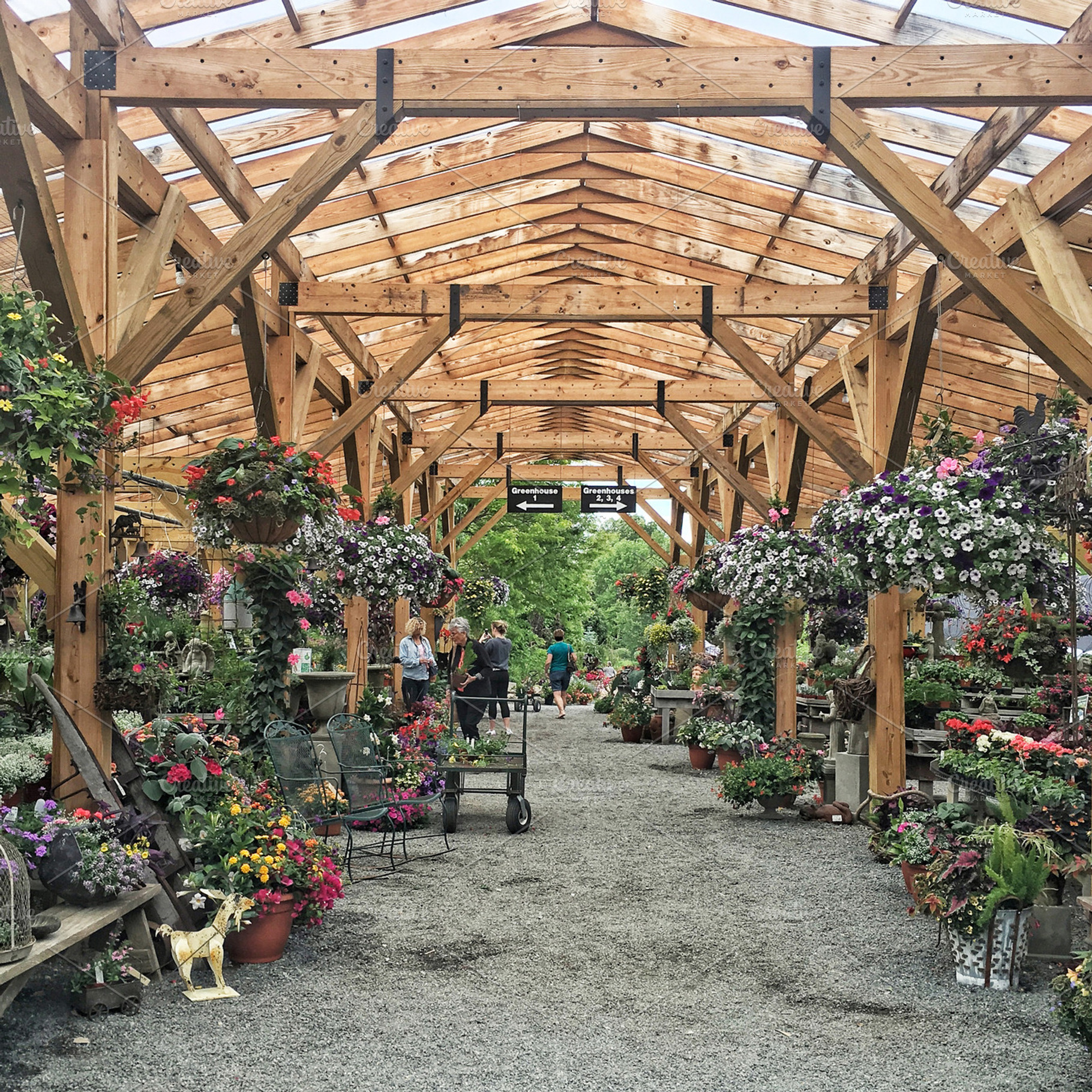 Greenhouse Garden Oasis, a Photo by Bingley Design™
