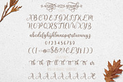Winter Sounds | All Season Fonts, a Script Font by Almeera Std (Thumbnail 15 of 15)