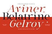 Milghera Serif, a Serif Font by IM Studio (Thumbnail 3 of 12)