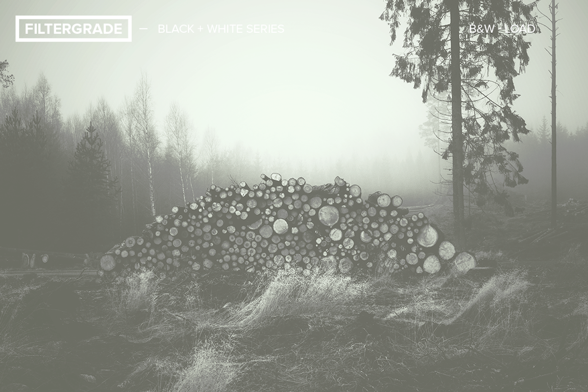 FilterGrade Black & White Series, an Action Add-On by FilterGrade (Photo 2 of 5)