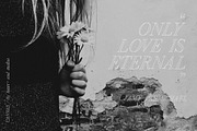 CANVAS | Elegant Serif Font, a Serif Font by Heart + Soul Studios (Thumbnail 5 of 12)