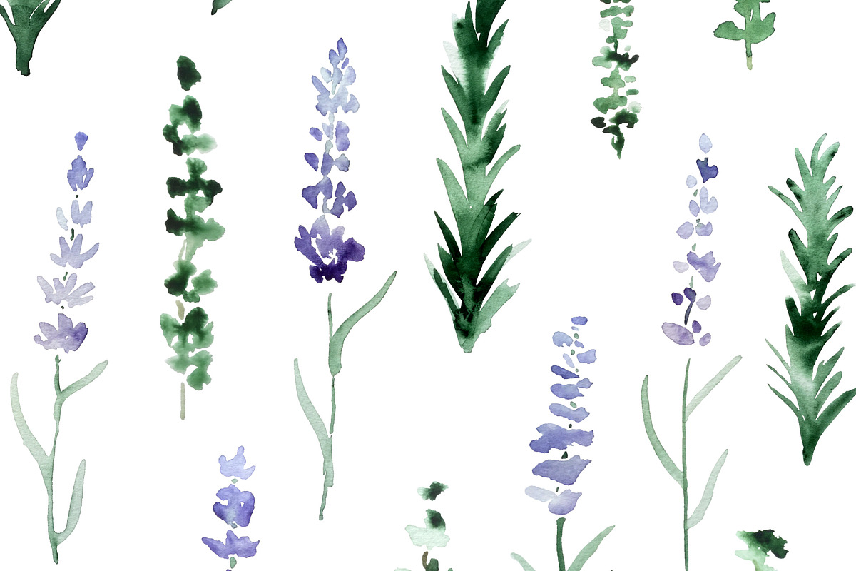 Lavender, rosemary, thyme, a Pattern Graphic by Anya-D (Photo 3 of 4)