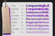 Ragmont Serif, a Serif Font by Megatype (Thumbnail 10 of 15)