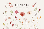 Autumn Wildflower Watercolors, a Decorative Illustration by Liliia Polos Illustration (Thumbnail 11 of 12)