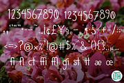 Wild Things, a Sans Serif Font by Little Type House (Thumbnail 5 of 5)