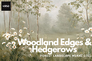 30+ Woodland Edges & Hedgerows, a Decorative Illustration by Virgo Studio (Thumbnail 1 of 6)
