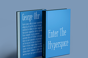 Thinsin Font, a Serif Font by Brave Type (Thumbnail 2 of 3)