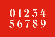 BN Chester - A Unique Serif Font, a Handwritten Font by Bnick (Thumbnail 8 of 10)