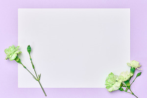 A blank white sheet of paper surrounded by branches of green ter, a Background Photo by ndanko