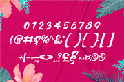 Summer Brush Script Brush Font, a Script Font by WhymoreArt (Thumbnail 7 of 7)