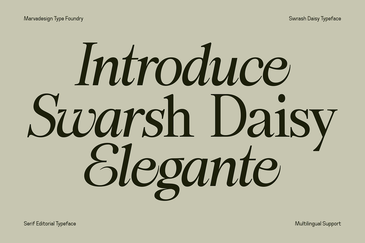 Swarsh Daisy - Elegant Serif Display, a Serif Font by Marvadesign (Photo 2 of 8)