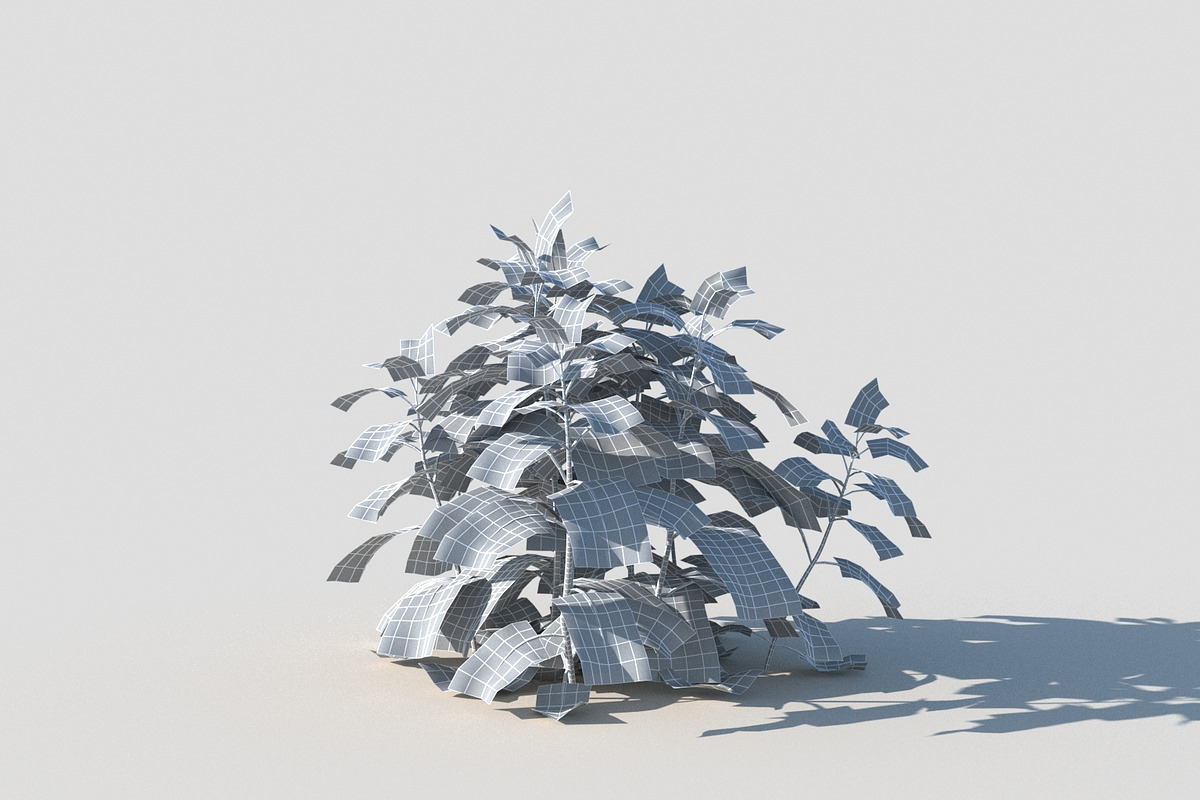 Melissa officinalis, an Environmental 3D Model by happy brush (Photo 4 of 8)