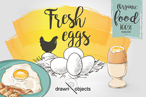 Eggs Hand drawn Vector set