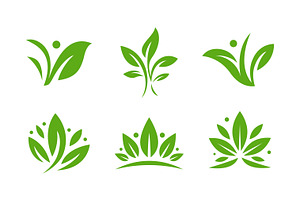 Leaf Logo & Botanical Vector Set, a Branding & Logo Template by Signatoro