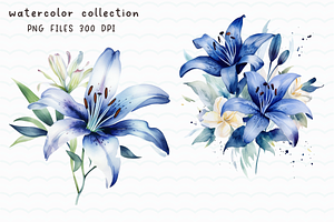 Lily Blue Watercolor Flowers