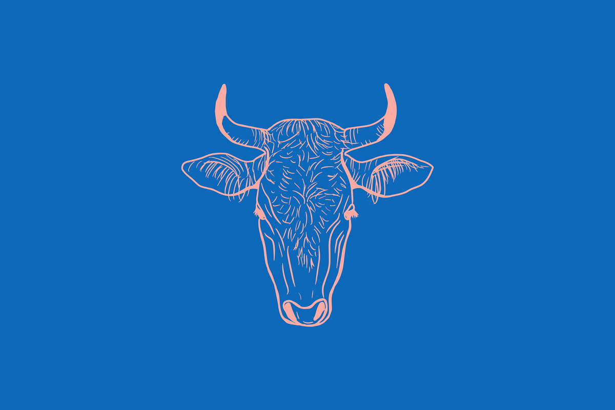 Vector Bovine Graphics, an Animal Illustration by Dorey Kronick Art&Design (Photo 11 of 19)