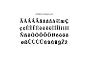 Retrograde Modern Retro Serif Font, a Serif Font by UICreative (Thumbnail 6 of 13)