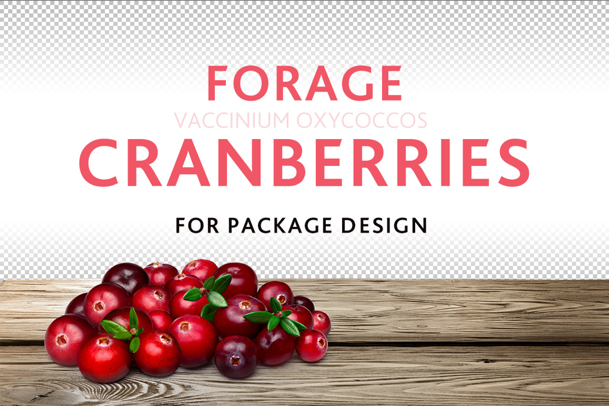 Cranberries, a Mockup by Hortimages (Photo 1 of 3)