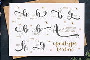ChrisMaster - Script with Extras, a Script Font by Gilar Studio (Thumbnail 4 of 10)