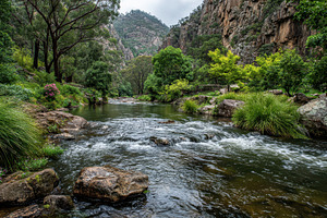 Serene River flowing through lush gr, a Photo by Pixeness Studio