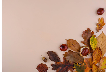 Autumn background with dry leaves., a Nature Photo by Yulia Furman