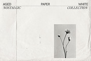 Aged White Vintage Paper, a Texture Graphic by Aesthetic Eye (Thumbnail 3 of 14)
