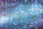 abstract inside, a Templates & Theme by littleshoproundthecorner (Thumbnail 4 of 4)