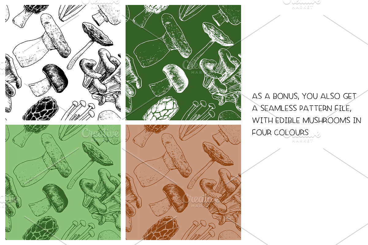 Mushrooms - vector illustration set, a Food Illustration by Renée from Studio neetje (Photo 6 of 6)
