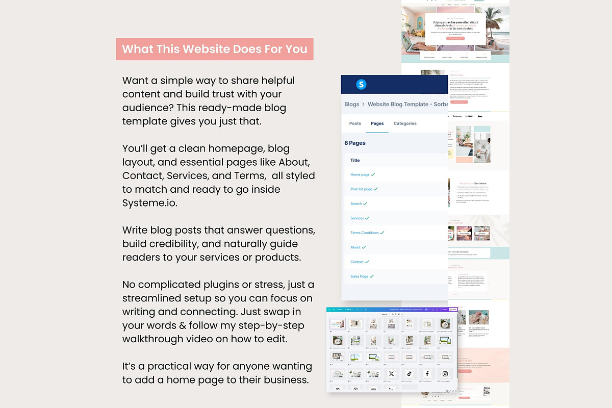Systeme.io Sorbet Solution Blog, a Landing Page Template by Hayley's Digital Hub (Photo 2 of 10)