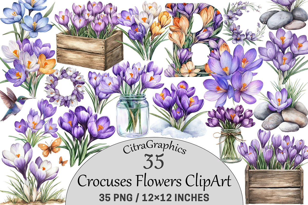Watercolor Crocuses Flowers ClipArt, an Illustration by CitraGraphics (Photo 1 of 4)